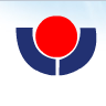 福建力佳股份有限公司