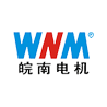 安徽皖南电机股份有限公司