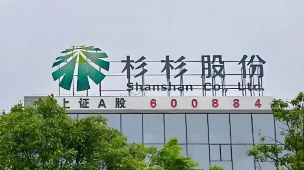 宁波杉杉股份有限公司