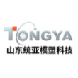 山东统亚模塑科技实业有限公司