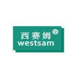 西赛姆科技（深圳）有限公司