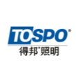 横店集团得邦照明股份有限公司