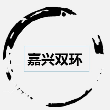 双环传动（嘉兴）精密制造有限公司
