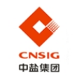 中盐安徽红四方锂电有限公司