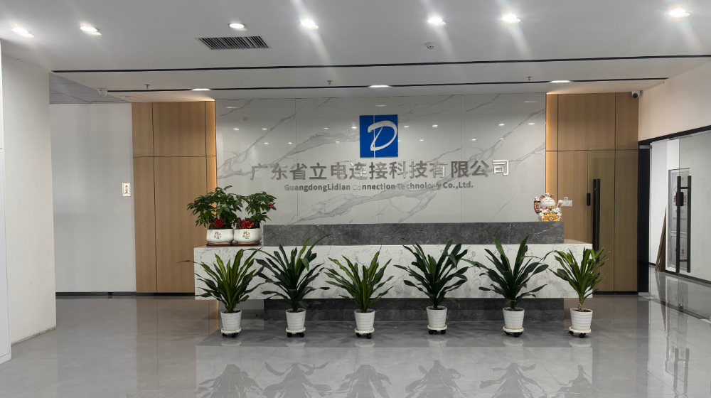 深圳市立电连接科技有限公司