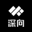 合肥深向汽车有限公司