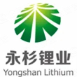 湖南永杉锂业有限公司