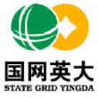 国网英大股份有限公司