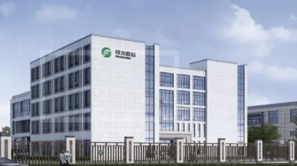 浙江锋龙电气股份有限公司 浙江锋龙电气股份有限公司
