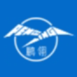天津鹏翎集团股份有限公司