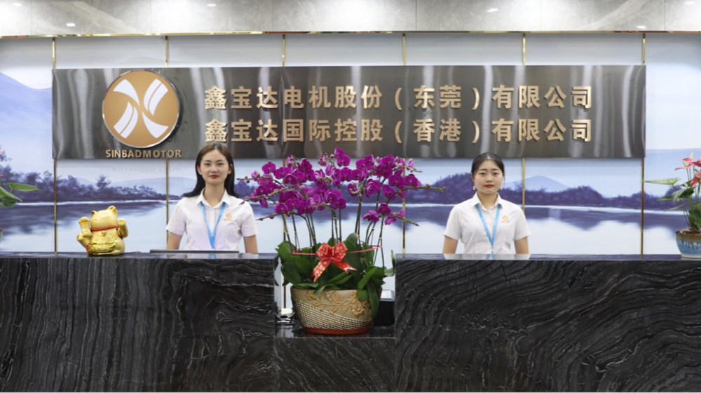 深圳市鑫宝达电机有限公司