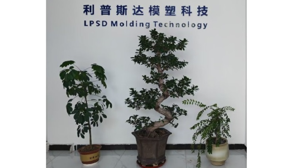 北京利普斯达模塑科技有限公司