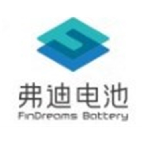 西安弗迪电池有限公司