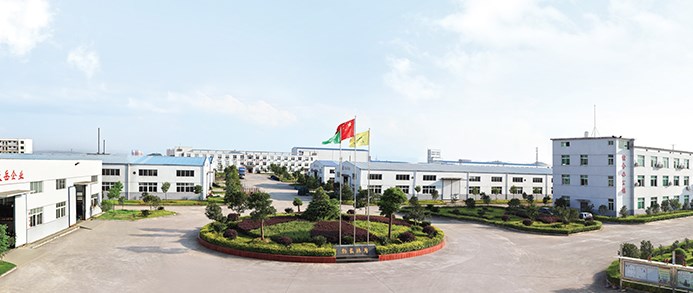 浙江天岳汽车电器有限公司