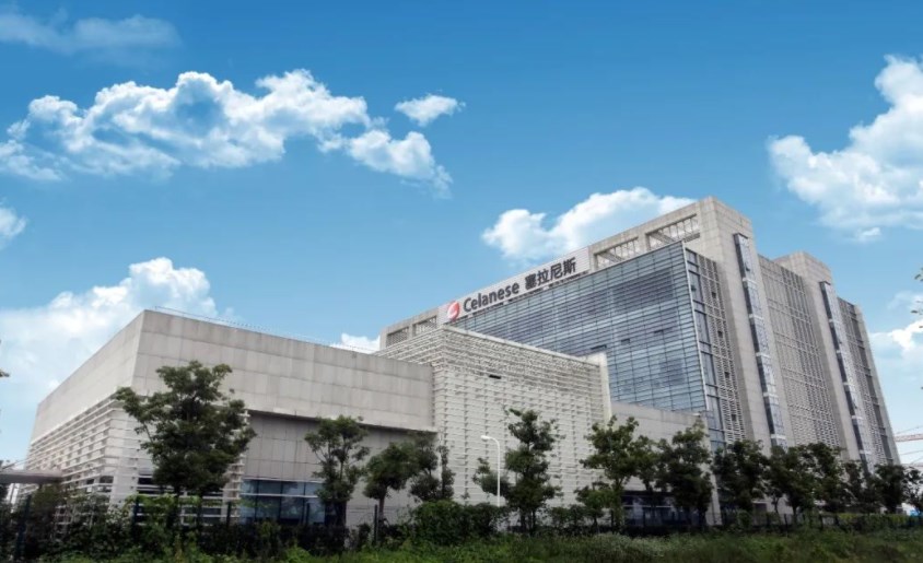 塞拉尼斯（中国）投资有限公司