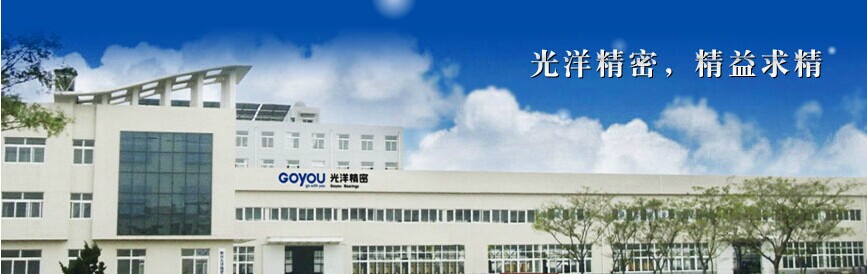 烟台光洋精密轴承有限公司