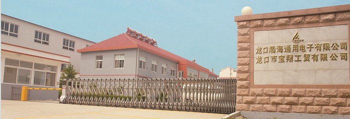 龙口渤海通用电子有限公司