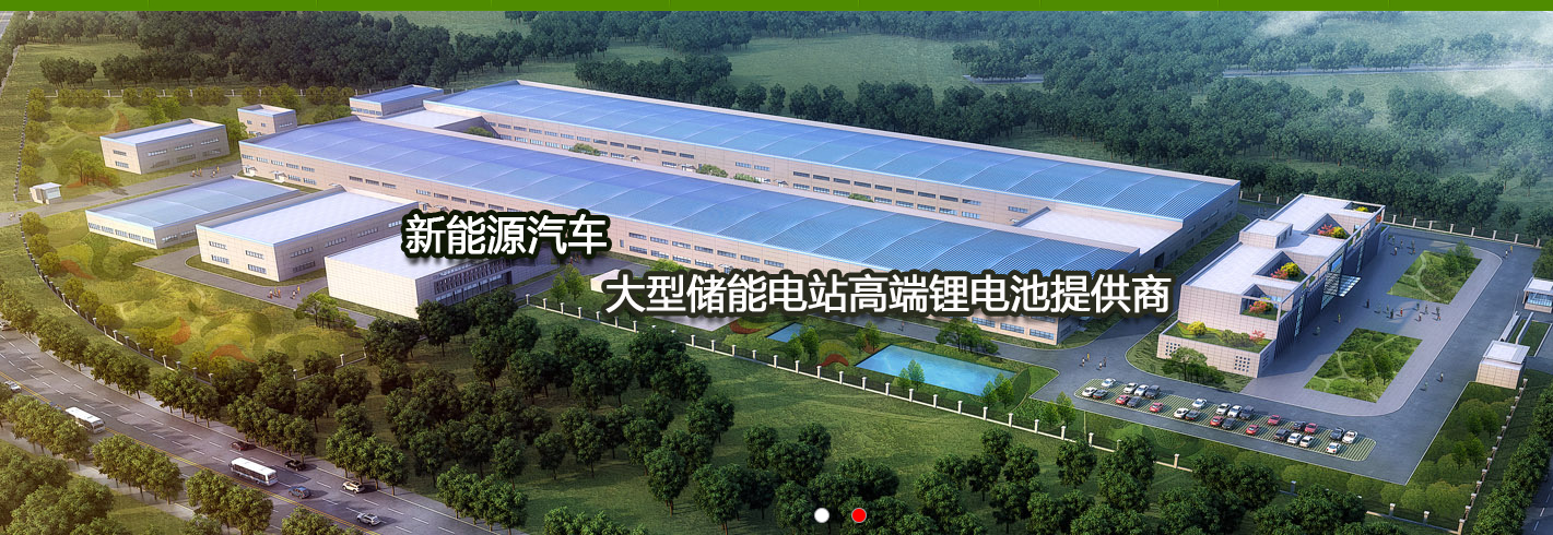 龙能科技（宁夏）有限责任公司