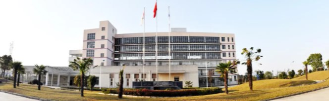 保隆（安徽）汽车配件有限公司