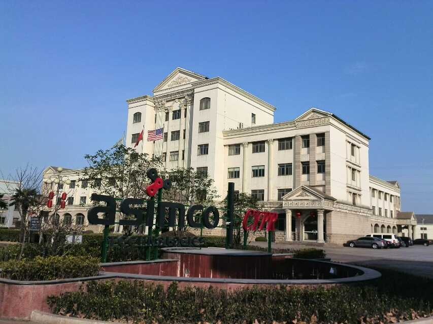 仪征亚新科双环活塞环有限公司