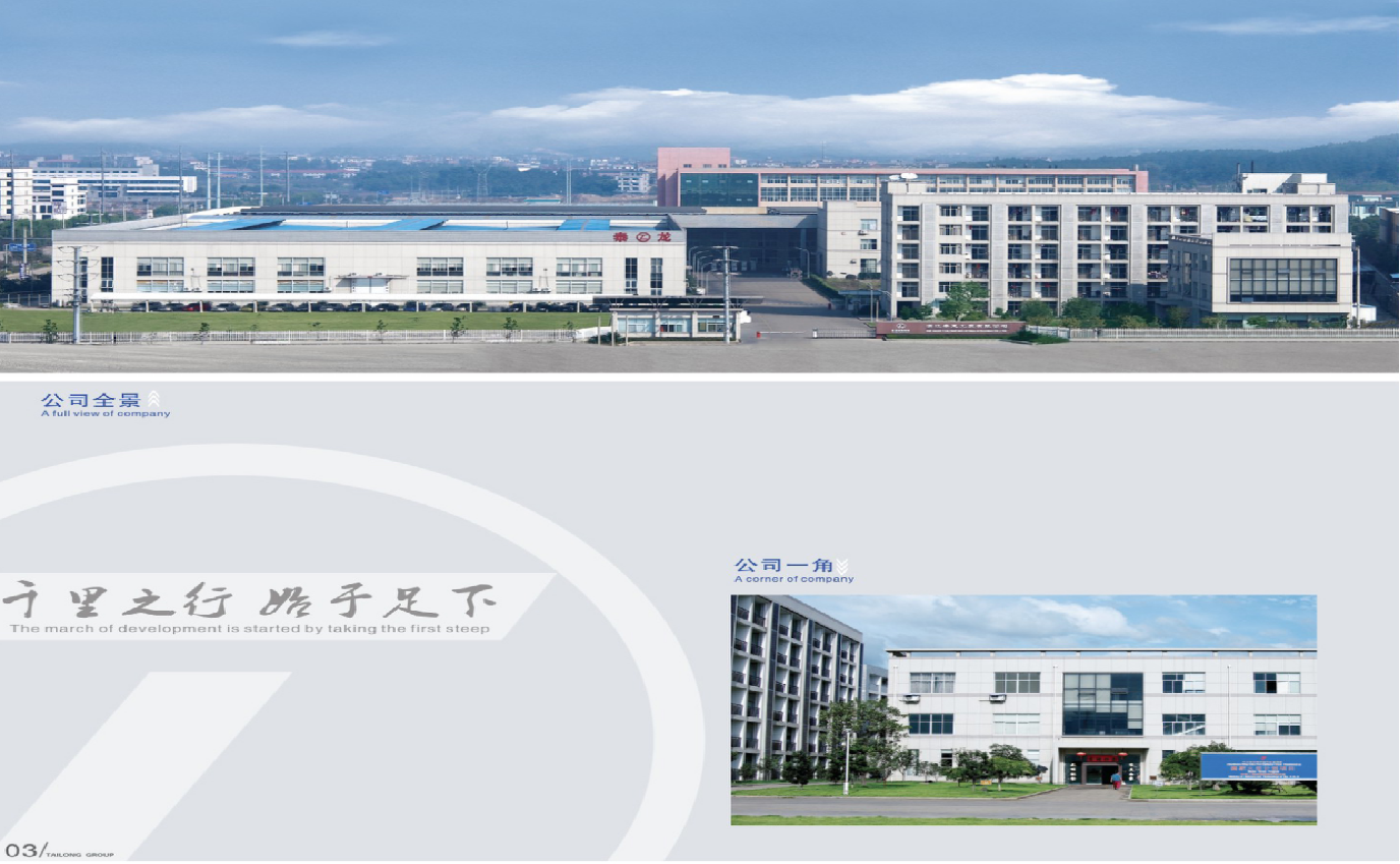 浙江泰龙科技有限公司