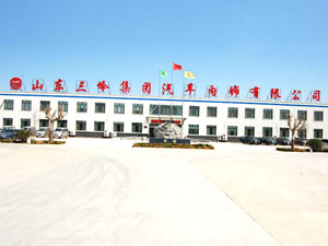 山东三岭汽车内饰有限公司