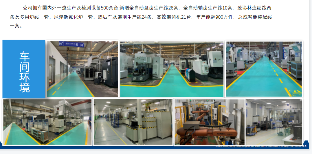 双环传动（重庆）精密科技有限责任公司