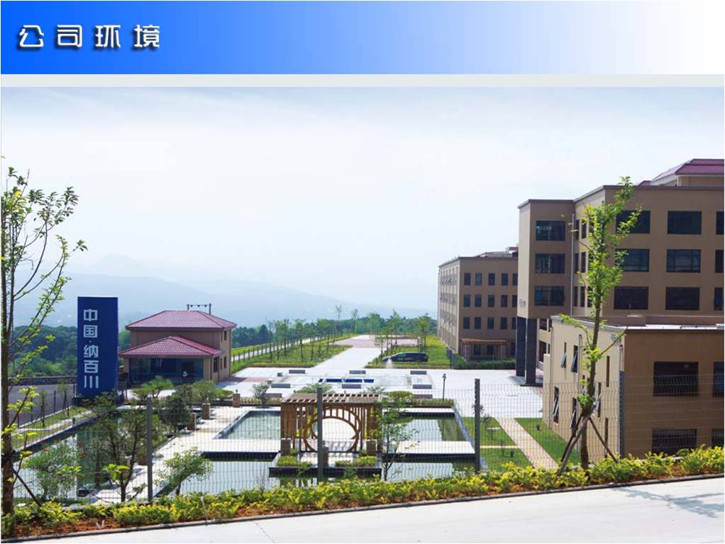 纳百川新能源股份有限公司 纳百川新能源股份有限公司