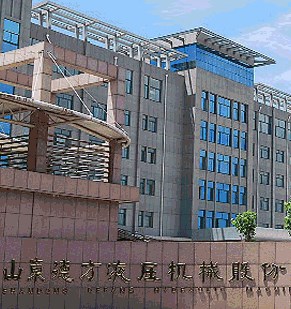 山东德方液压机械股份有限公司