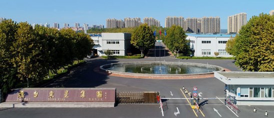 烟台东星集团有限公司