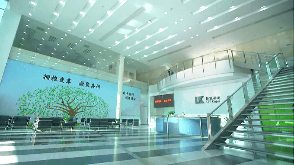 惠州乐庭电子线缆有限公司