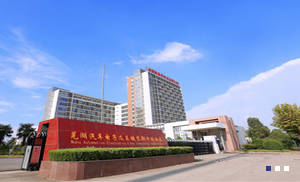 芜湖致通汽车电子有限公司