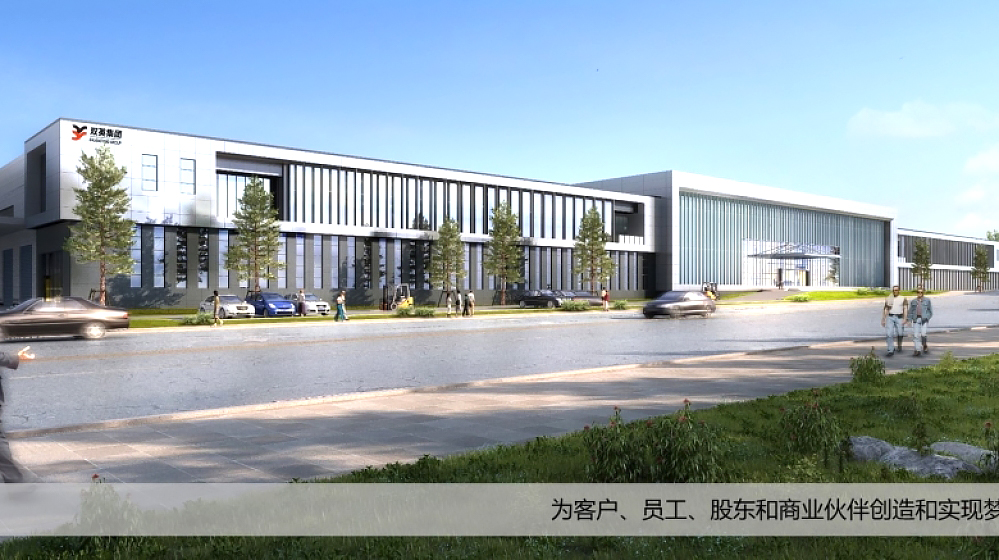 广西双英集团股份有限公司