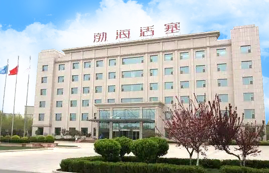 渤海汽车系统股份有限公司