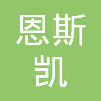 广州恩斯凯轴承有限公司