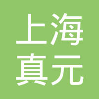 上海真元汽车设计有限公司