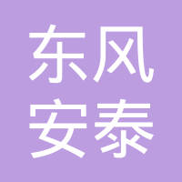 湖北安泰汽车电气系统有限公司