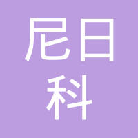 天津尼日科电子有限公司