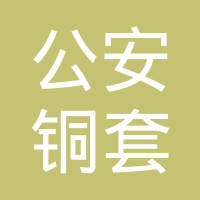 公安县铜套有限公司