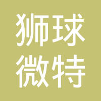 宁波狮球微特电机有限公司