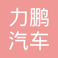 瑞安市力鹏汽车电机有限公司