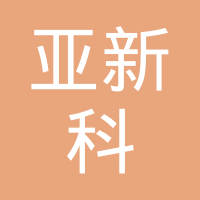 亚新科（中国）投资有限公司