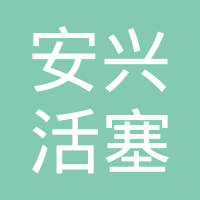 安徽安兴活塞环有限公司