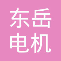 山东东岳电机有限公司