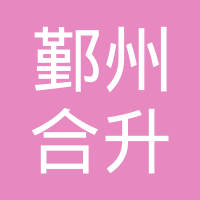 宁波市鄞州合升摩擦片工贸有限公司