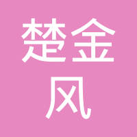 武汉楚风汽配有限公司