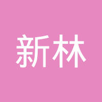 瑞安市新林汽车电器有限公司