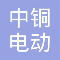 东莞中铜电动汽车有限公司