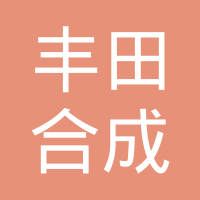 丰田合成星光（天津）汽车部品有限公司