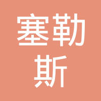 沈阳塞勒斯科技有限公司